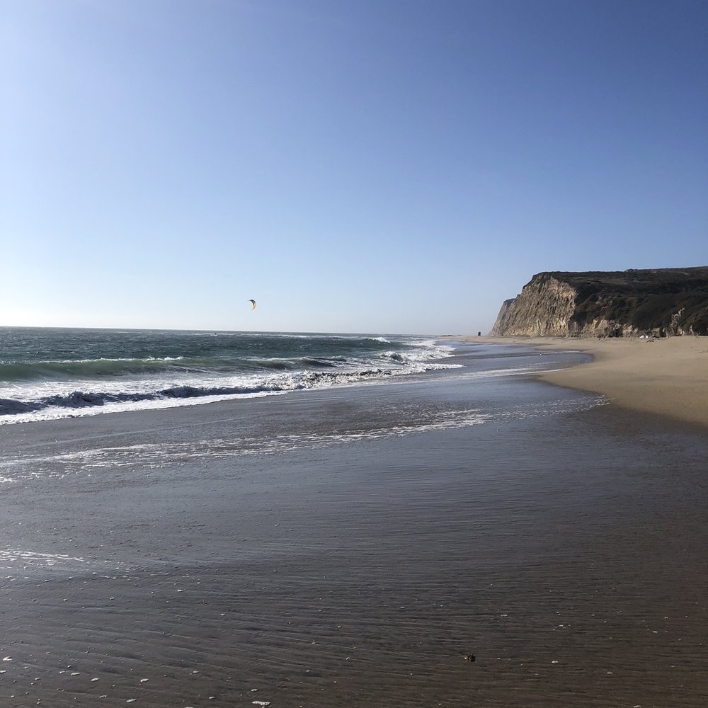 Scott Creek Beach - Beaches Near Me - Davenport, California