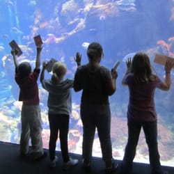 Holli's Family Child Care - Field Trip to the Academy Of Sciences, what a great day!