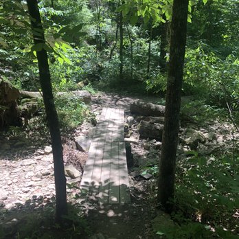 Devil's Den State Park - Parks Near Me - Winslow, Arkansas