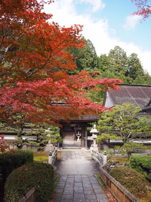 Koyasan Special Head Temple Shojoshin-in by null
