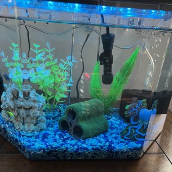 Aquarium City - Aquarium Services Near Me - Canoga Park, California