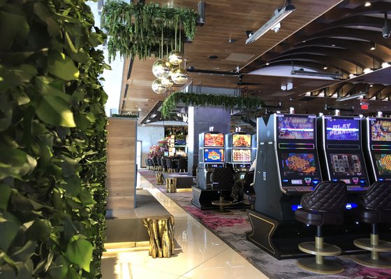 Orchid Gaming & Smoking Patio by null