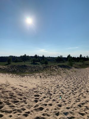 Ludington State Park Beach by null