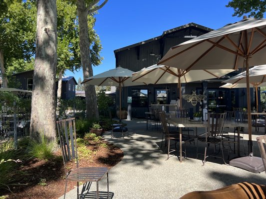 Honig Vineyard & Winery by null