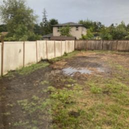 Standing water after installing French drain and yard graded.  Not level!