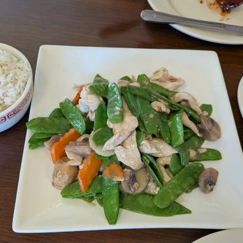 Asian House - Chinese Near Me - Tampa Bay, Florida