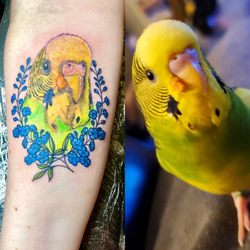 Boston Born Ink