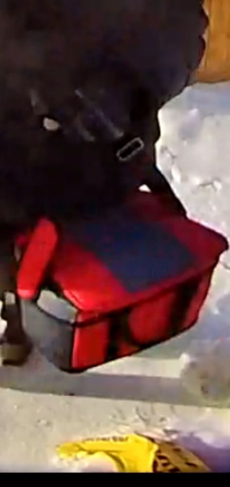 SMITTY’S - Updated October 2024 - 33 Photos - 2305 McPhillips Street ...