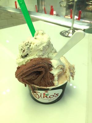 Gino's Gelato | Traditional Homemade Italian Ice Cream by null