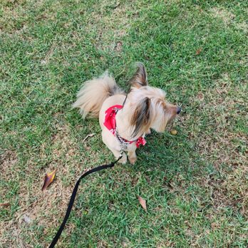 Pet Partners - Wookie Side 2 Profile - Pet Stores Near Me - Long Beach, California