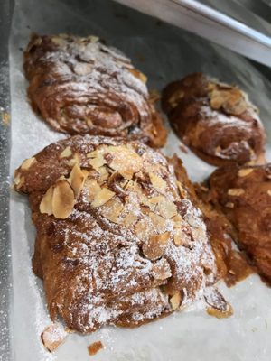 Pascal on Beverly by null