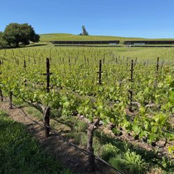Fontanella Family Winery
