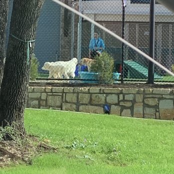 Pet Paradise Georgetown - Sneak,sneak peek at Nani in the play yard! - Pet Boarding Near Me - Georgetown, Texas Pet Paradise Georgetown - Sneak,sneak peek at Nani in the play yard! - Pet Boarding Near Me - Georgetown, Texas