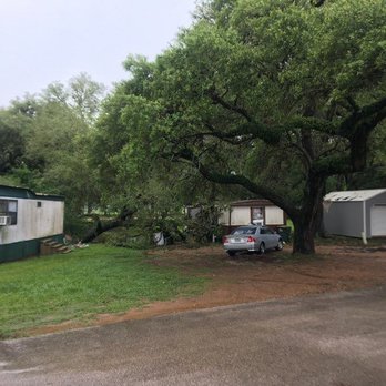 Best Western Executive Inn - Tree busted threw our home and we lost everything - Hotels Near Me - Hallettsville, Texas Best Western Executive Inn - Tree busted threw our home and we lost everything - Hotels Near Me - Hallettsville, Texas