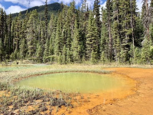 Kootenay National Park by null