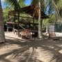 Refugio Animal Holbox