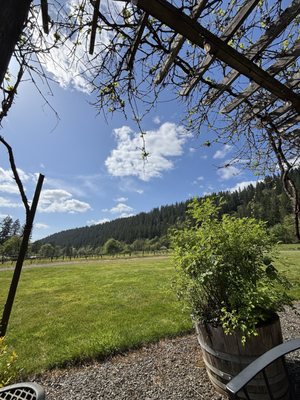 Pomeroy Cellars by null