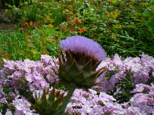 The Bishop's Palace & Gardens by null