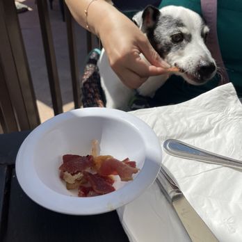 The Incredible Cafe - Free bacon bits for my fur baby - Breakfast & Brunch Near Me - San Diego, California The Incredible Cafe - Free bacon bits for my fur baby - Breakfast & Brunch Near Me - San Diego, California