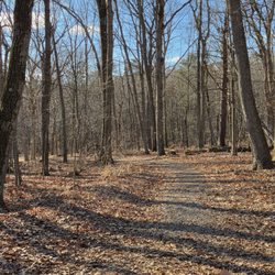Shikellamy State Park - Trail