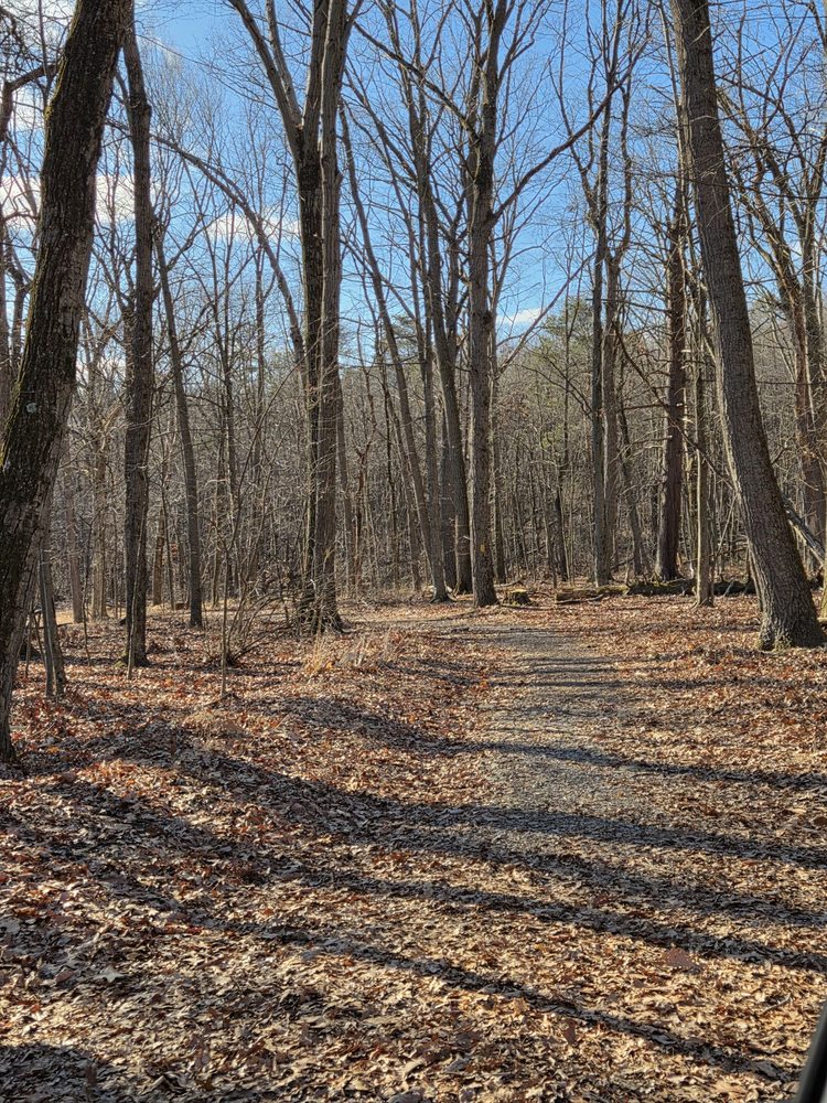 Social spots from Shikellamy State Park