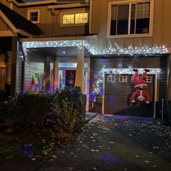 Deluna Services - Christmas lights installed