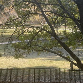 Crockett Dog Park - Colors - Dog Parks Near Me - Dallas, Texas Crockett Dog Park - Colors - Dog Parks Near Me - Dallas, Texas