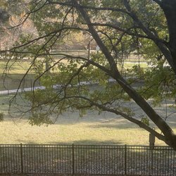Crockett Dog Park - Colors
