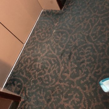 Clarion Hotel - Downtown - University Area - Carpet is disintegrating through out this place - Hotels Near Me - Oneonta, New York
