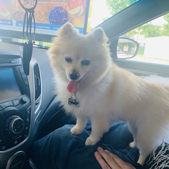 Petco - Pet Training Near Me - Riverdale, Utah