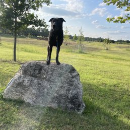 Holly on "place" Holly on "place"