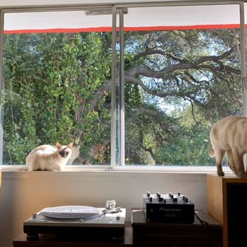 The Squeegee Guy Professional Window Cleaning - We can finally enjoy our nature! - Window Washing Near Me
