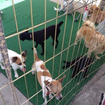 PetSmart - Adopt me! - Pet Stores Near Me - San Diego, California