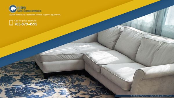 Hippo Carpet Cleaning Springfield