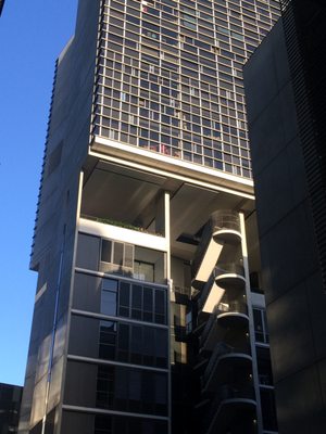 Central Park Mall by null