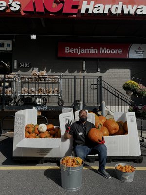 Annie's Ace Hardware - Brookland by null
