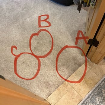 Sierra ProClean - Random spots coming out of my bathroom into my master. We do not wear shoes in our home and I have 0 idea what would cause this! - Chimney Sweeps Near Me Sierra ProClean - Random spots coming out of my bathroom into my master. We do not wear shoes in our home and I have 0 idea what would cause this! - Chimney Sweeps Near Me
