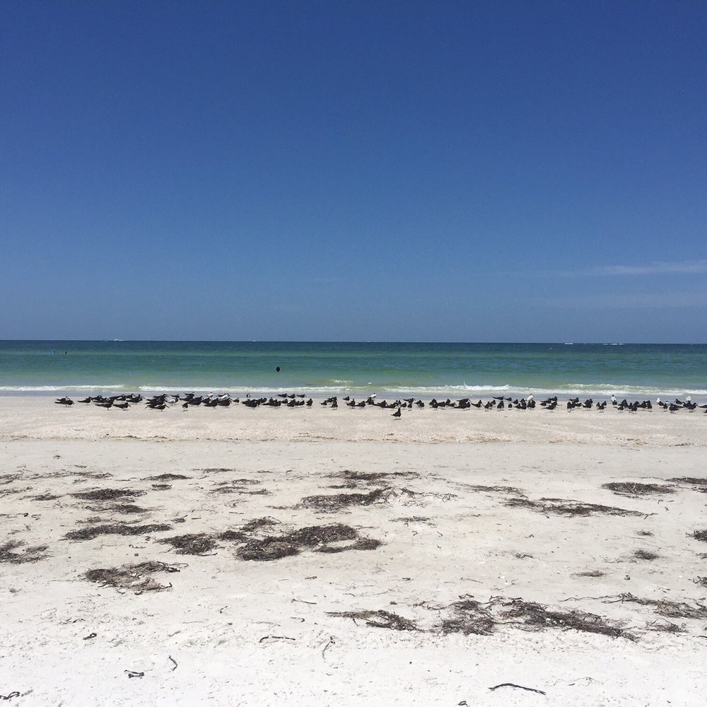 Hideaway Sands Resort - Resorts Near Me - St. Pete Beach, Florida Hideaway Sands Resort - Resorts Near Me - St. Pete Beach, Florida
