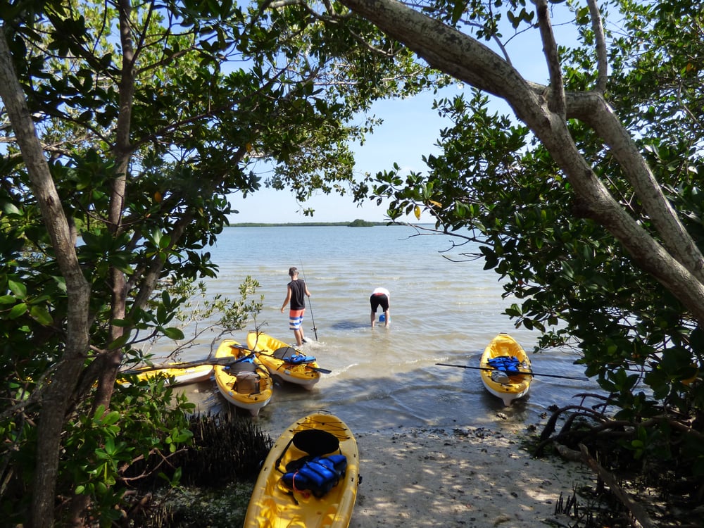 Eco Paddlesportz Image