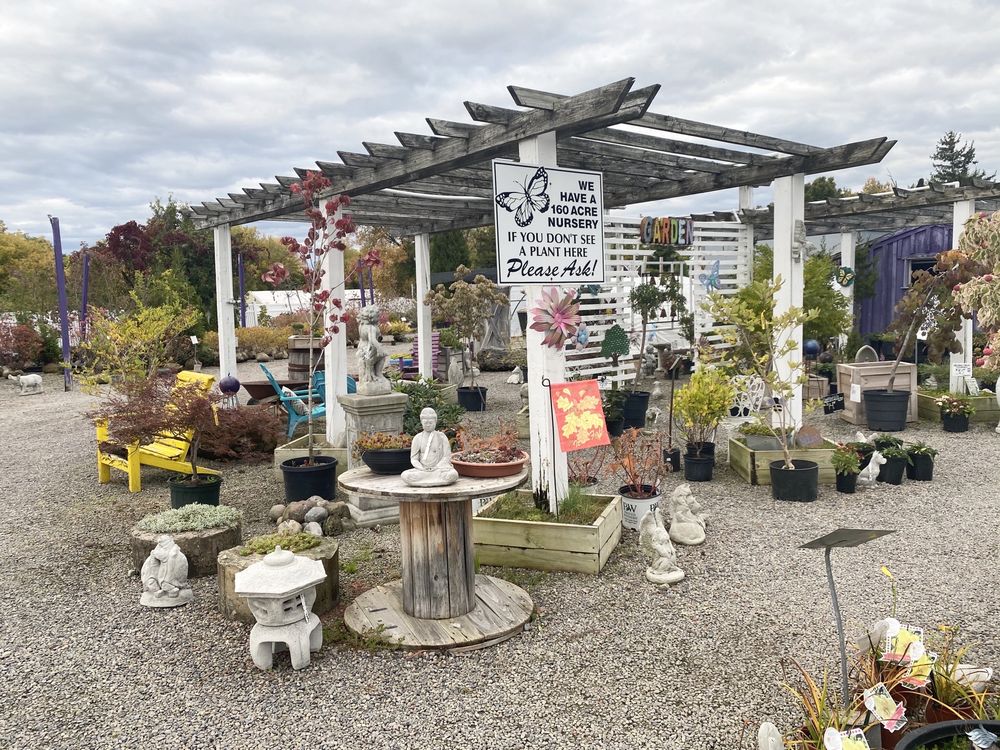 MARCELLUS NURSERY Updated September 2024 21 Photos 5062 Onondaga