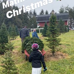 Kelly Christmas Tree Farm