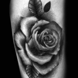 Supersauce Tattoo Company