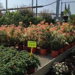 Hobby Garden dei Navigli