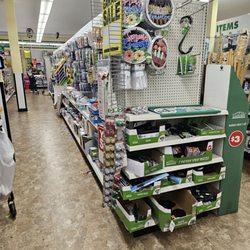 Dollar Tree - Inside the store