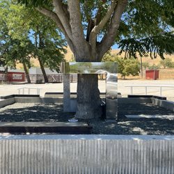 James Dean Crash Site & Memorial - Memorial under a beautiful tree.
