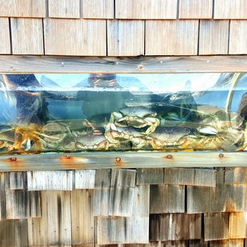Seafood Connection - a fish tank with crabs in it - Seafood Markets Near Me - Westport, Washington Seafood Connection - a fish tank with crabs in it - Seafood Markets Near Me - Westport, Washington