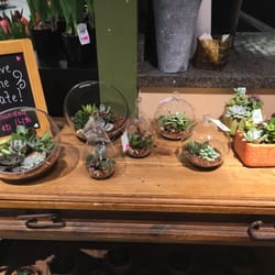Pick'n Save - Oak Creek - Pretty cool plants