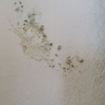 Point Pleasant Resort - Awful. MOLD. - Hotels Near Me - Saint Thomas, Virgin Islands