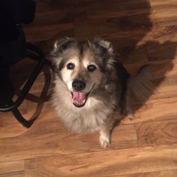 a very happy student!!! Thanks, Muttineer! a very happy student!!! Thanks, Muttineer!