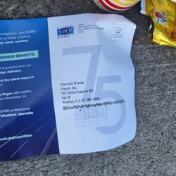 Daxen - Name of person who dumped trash in front of Residencial homes